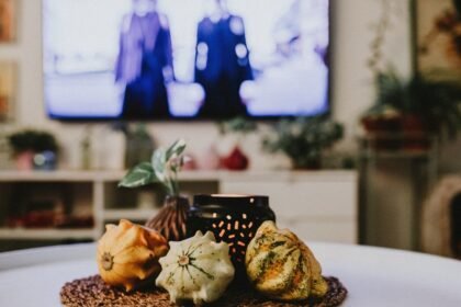 Programme TV du mardi 14 juillet 2026 : le défilé sur France 2, du théâtre sur TF1 et le Mondial sur M6