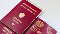 Revolut : fuite de données, les pirates diffusent des passeports sur telegram wejdene, retour, nouveau, single, terminer