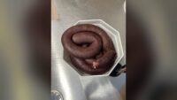 Rappel conso : boudin à la viande sans marque, listeria, E.Leclerc Arès