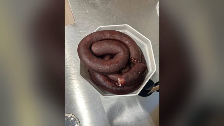 Rappel conso : boudin à la viande sans marque, listeria, e. Leclerc arès Rappel conso : boudin à la viande sans marque, listeria, E.Leclerc Arès