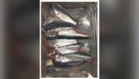 Rappel conso : filet de sardine sans marque, histamine, e. Leclerc coutras Rappel conso : filet de sardine sans marque, histamine, E.Leclerc Coutras