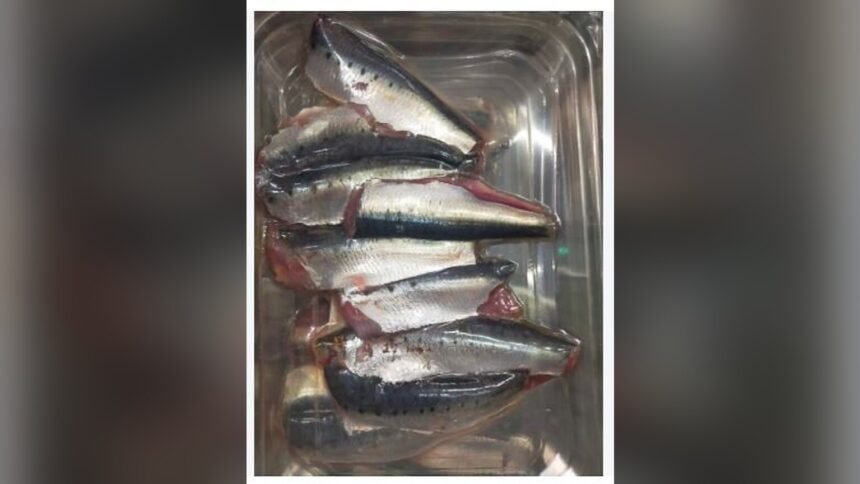 Rappel conso : filet de sardine sans marque, histamine, e. Leclerc coutras Rappel conso : filet de sardine sans marque, histamine, E.Leclerc Coutras