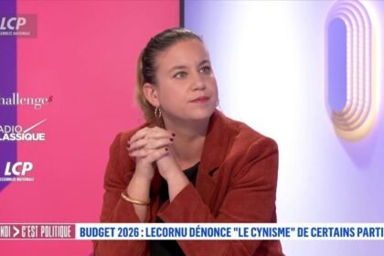 Mathilde Panot refuse le ruban d&rsquo;Octobre rose : Bergé, Rousseau et Le Pen répliquent