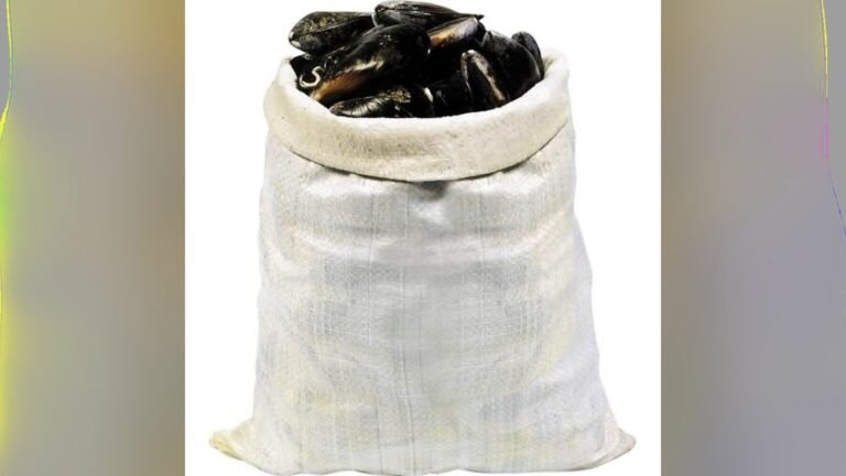 Rappel conso : moules de bouchot STG Filière Qualité Carrefour, risque E. coli