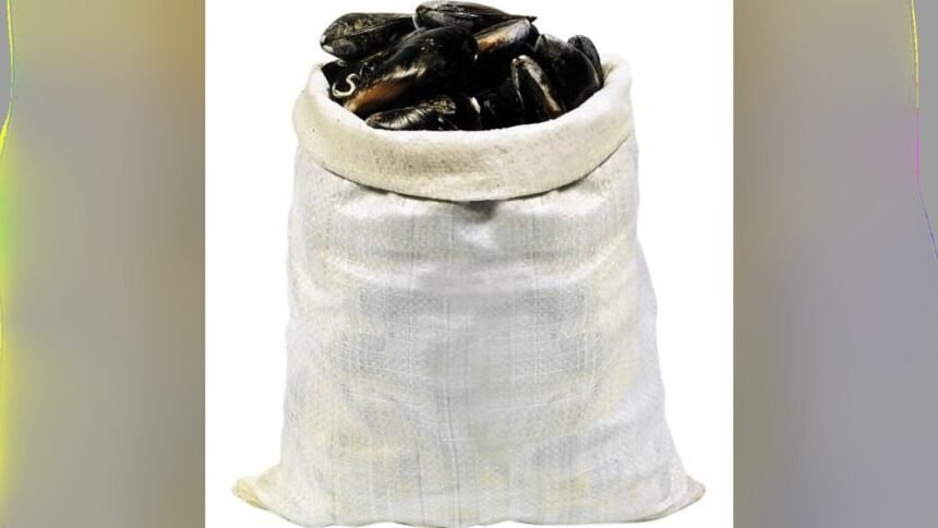 Rappel conso : moules de bouchot STG Filière Qualité Carrefour, risque E. coli