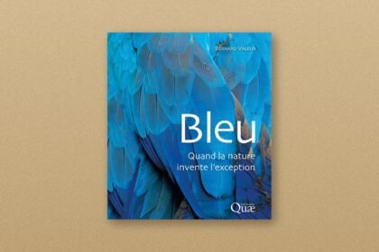 Bleu : Bernard Valeur cherche pourquoi la nature fabrique si peu de bleu