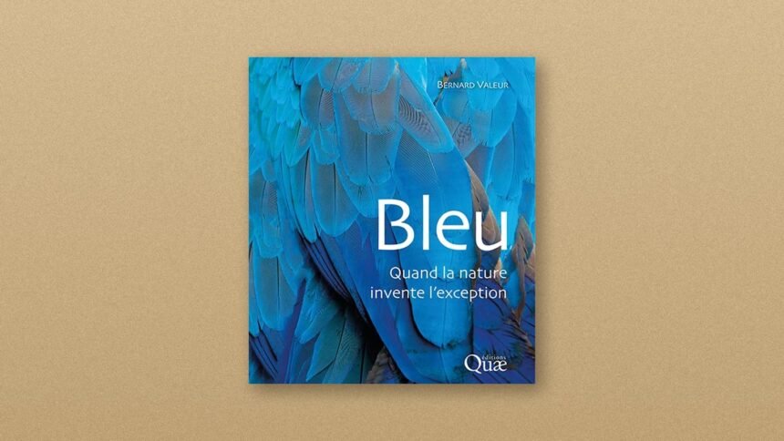 Bleu : Bernard Valeur cherche pourquoi la nature fabrique si peu de bleu