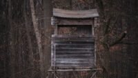 Cassagnas : un chasseur tue un promeneur de 65 ans pendant une battue en lozère Mirador de chasse en bois dans une forêt aux couleurs d’automne