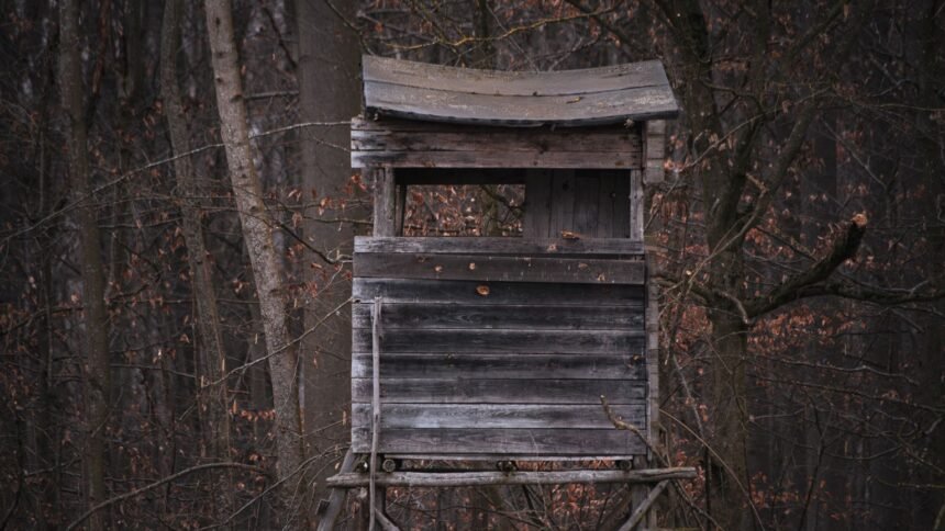 Cassagnas : un chasseur tue un promeneur de 65 ans pendant une battue en lozère Mirador de chasse en bois dans une forêt aux couleurs d’automne