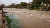 Rivière en crue qui déborde sur les chemins d'un parc après de fortes pluies