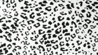 Tissu à motif léopard noir et blanc