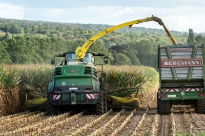 Tracteur et moissonneuse dans un champ de maïs