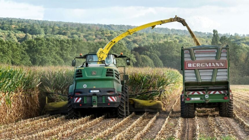 Tracteur et moissonneuse dans un champ de maïs