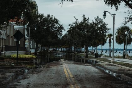Rue urbaine inondée avec palmiers sous un ciel chargé, illustration de la vigilance rouge en Haute-Corse
