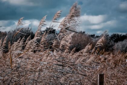 Photo d’illustration en lien avec : Météo du jeudi 8 octobre : vent de nord-ouest, averses et 14 à 19 °C