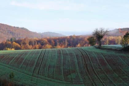 Météo du mercredi 14 octobre : jusqu'à 24 °c à marseille, 9 °c à lille au matin Photo d’illustration en lien avec : Météo du mercredi 14 octobre : jusqu’à 24 °C à Marseille, 9 °C à Lille au matin