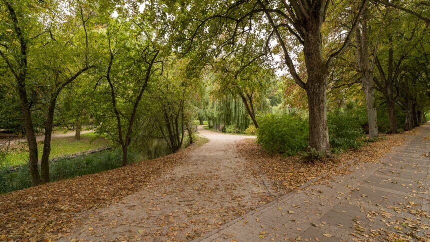 Tempête austen : parcs fermés vendredi à nanterre, angers et antony, cimetières aussi Chemin de terre bordé d'arbres en automne, tempête Austen : parcs fermés