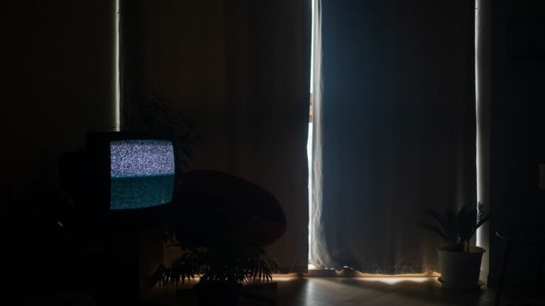 Programme tv ce soir : qui sera le plus nul et la boîte à secrets (vendredi) Photo d’illustration en lien avec : Programme TV ce soir : Qui sera le plus nul et La Boîte à secrets (vendredi)