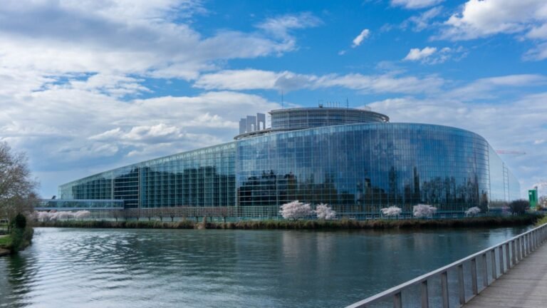 Qui est Sarah Knafo, eurodéputée Reconquête et ex-candidate à Paris ?
