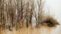 Solenzara : 596 mm de pluie relevés, un cumul inédit en France, selon Météo-France