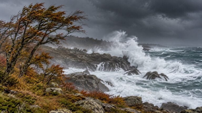 Tempête austen : 15 départements en vigilance orange vendredi, horaires et trains coupés Tempête Austen : 15 départements en vigilance orange vendredi, horaires et trains coupés